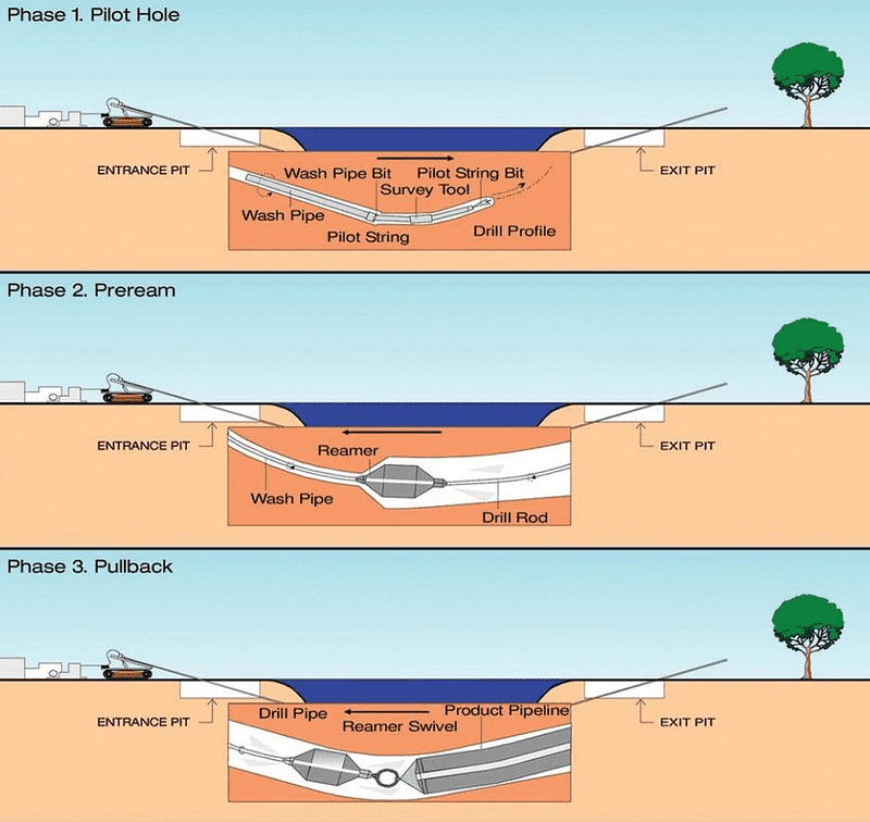 Ular sizning ogzingizga kiradi